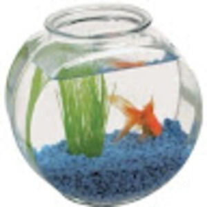 Meet your Posher, Sophia